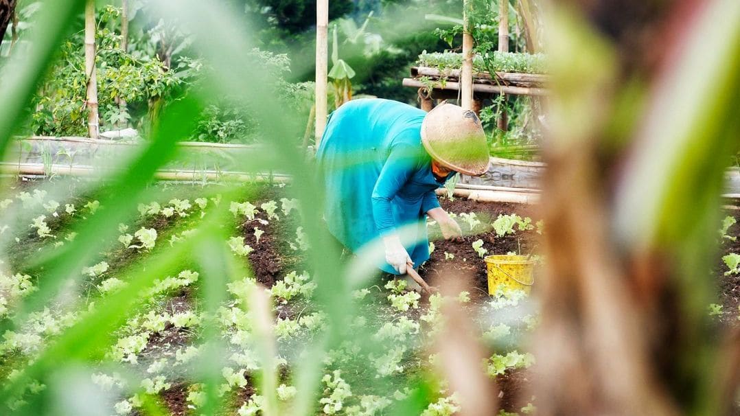 Entretenir sa pelouse au début de saison : conseils simples et efficaces