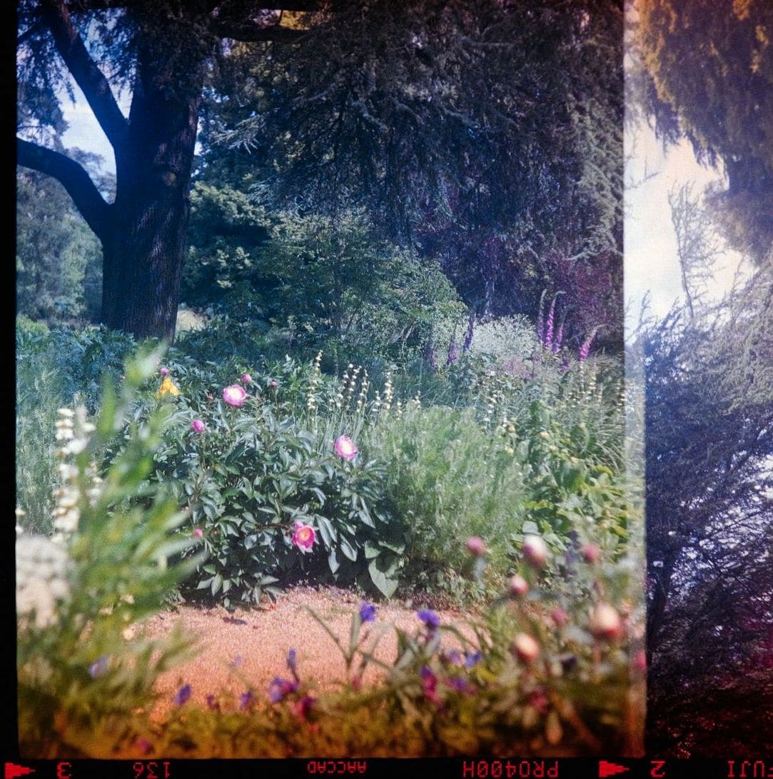 Jardin Harmonie 10