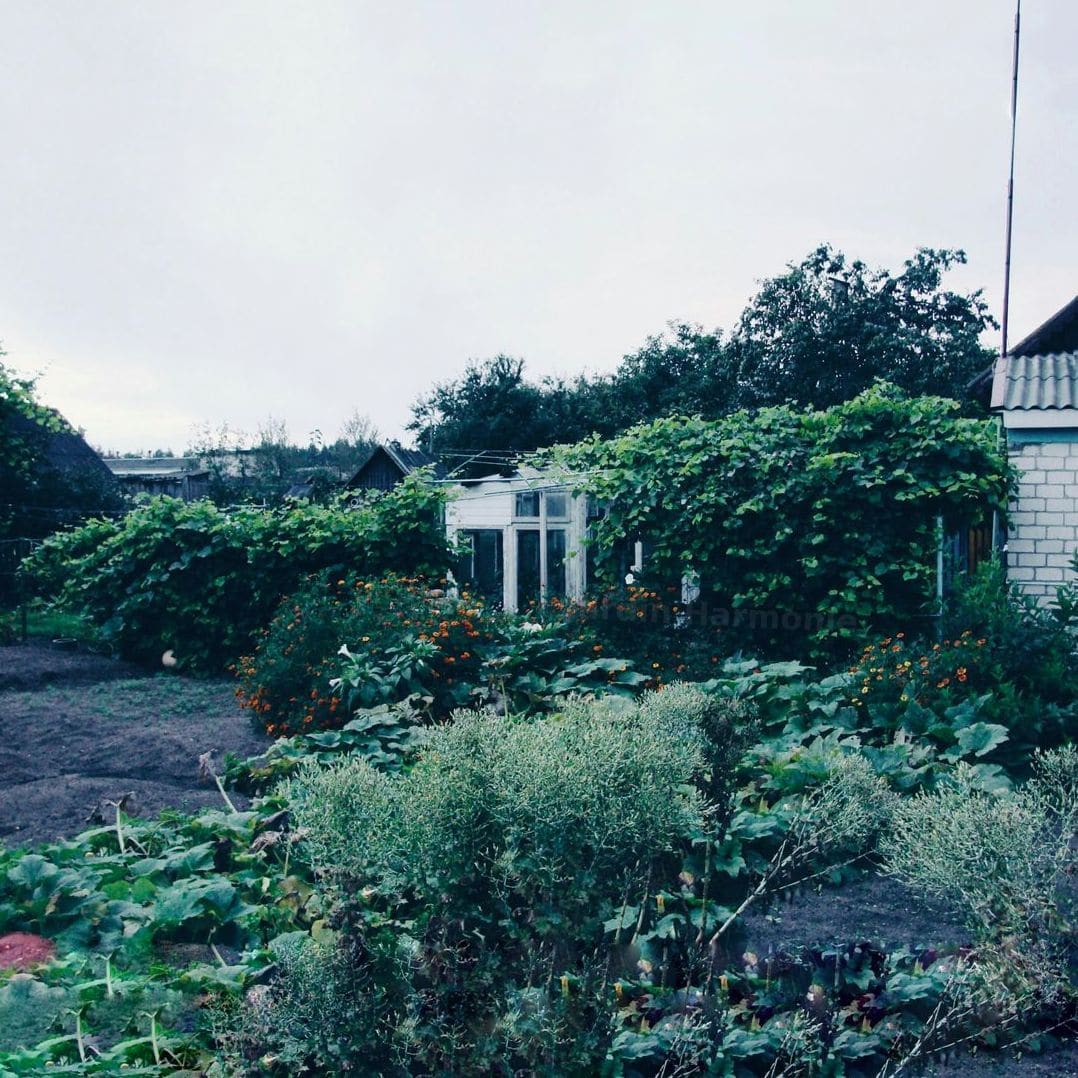 Jardin Harmonie 3