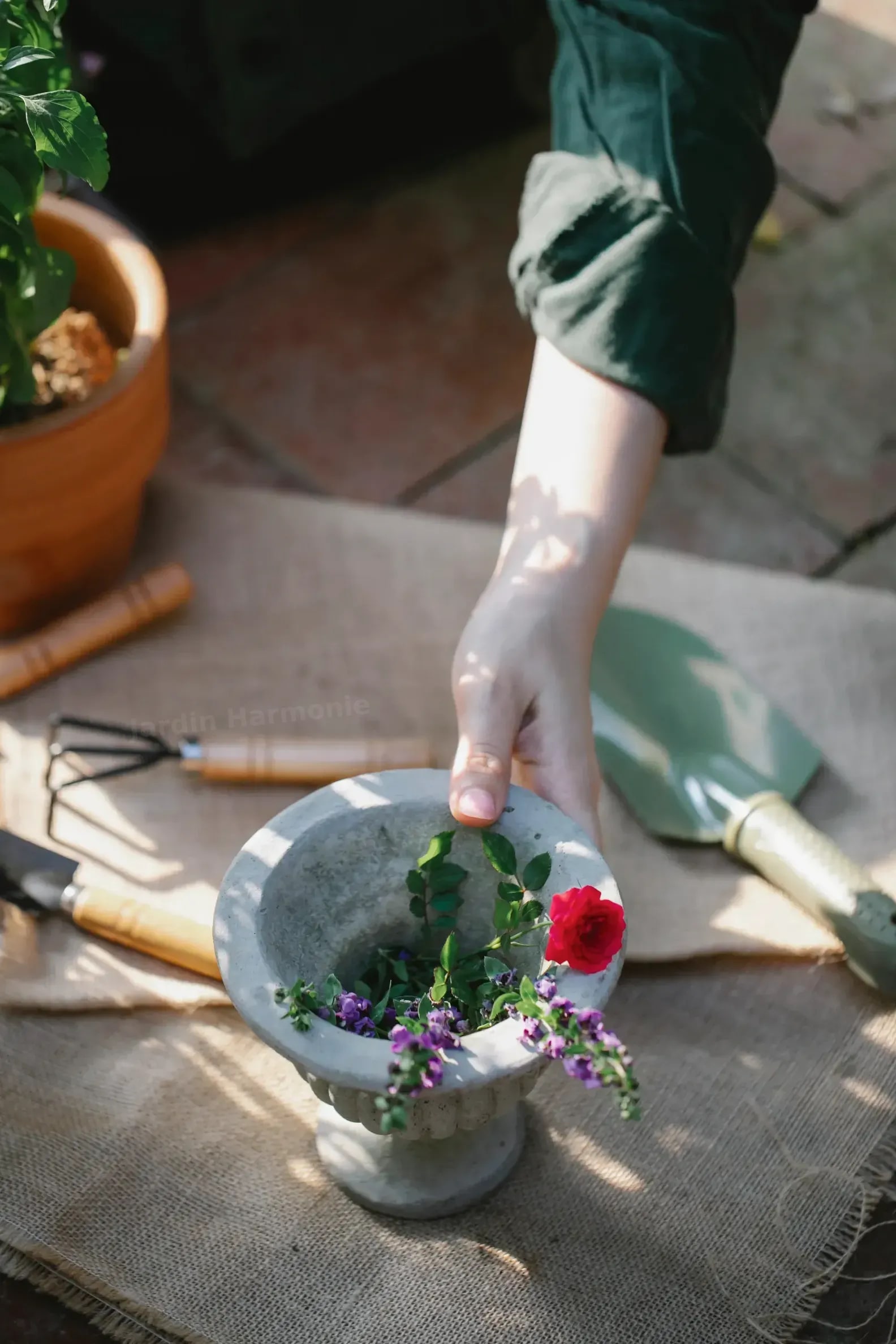 Jardin Harmonie vous accompagne dans tous vos travaux de gardening avec soin et simplicité.
